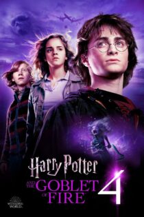 دانلود فیلم Harry Potter and the Goblet of Fire 2005 هری پاتر و جام آتشین دانلود فیلم Harry Potter and the Goblet of Fire 2005 هری پاتر و جام آتشین